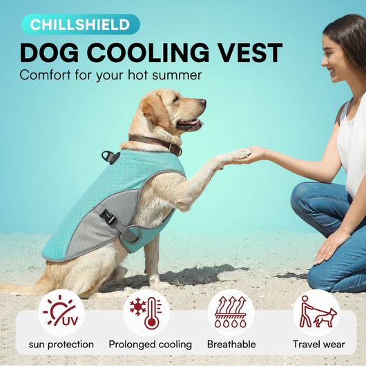 ChillShield Dog Cooling Vest - Gradient Background
