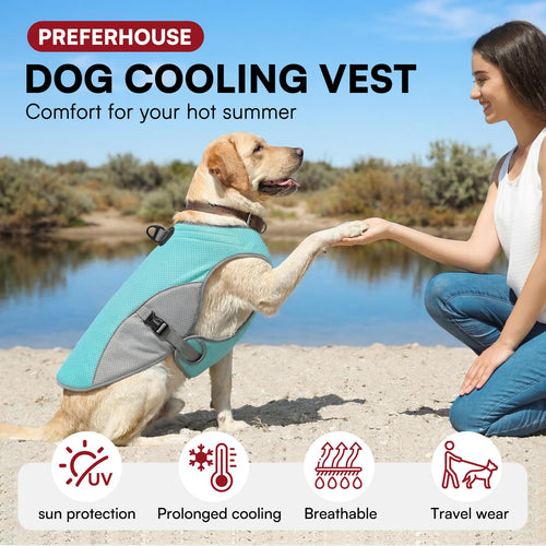ChillShield™ Dog Cooling Vest