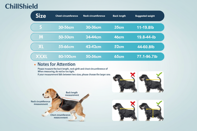 Sizing Chart - Blue Gradient